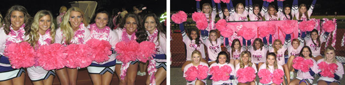 YWBCAF - Annual PINK OUT